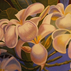Frangipani -  - Meska.hu