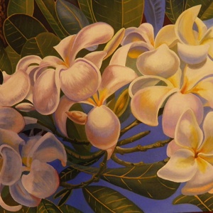 Frangipani -  - Meska.hu