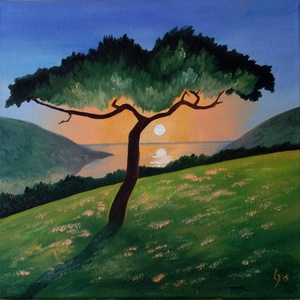Naplemente - Meska.hu