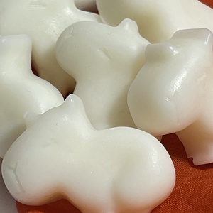 Capibara szója illatviasz kókusz - otthon & életmód - gyertya, illat, aroma - illatviasz - Meska.hu