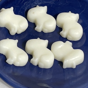 Capibara szója illatviasz kókusz, Otthon & Életmód, Gyertya, illat, aroma, Illatviasz, Gyertya-, mécseskészítés, MESKA