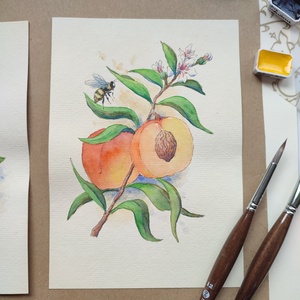 Barack és méhecske - akvarell illusztráció papíron - művészet - festmény - akvarell - Meska.hu