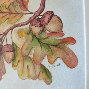 Őszi tölgyfa ág - akvarell festmény papíron - művészet - festmény - akvarell - Meska.hu