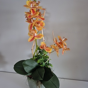 Orchidea asztaldísz  - otthon & életmód - virágdekoráció - virágdíszek - asztali virágdísz - Meska.hu