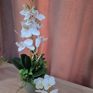 Orchidea cserepben  - otthon & életmód - virágdekoráció - virágdíszek - virágdísz kaspóban - Meska.hu