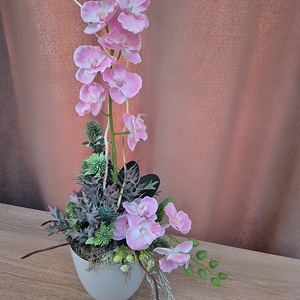 Orchidea kaspóban  - Meska.hu