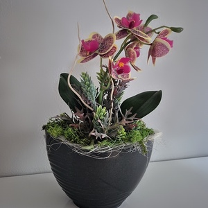 Orchidea kaspóban  - Meska.hu