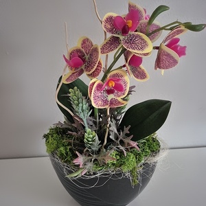 Orchidea kaspóban  - otthon & életmód - dekoráció - asztal és polc dekoráció - asztaldísz - Meska.hu