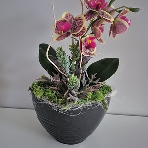 Orchidea kaspóban  - otthon & életmód - dekoráció - asztal és polc dekoráció - asztaldísz - Meska.hu