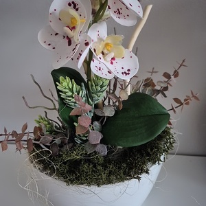 Orchidea kaspóban  - Meska.hu