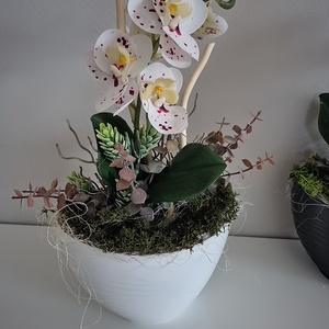 Orchidea kaspóban  - otthon & életmód - dekoráció - asztal és polc dekoráció - asztaldísz - Meska.hu