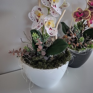 Orchidea kaspóban  - otthon & életmód - dekoráció - asztal és polc dekoráció - asztaldísz - Meska.hu
