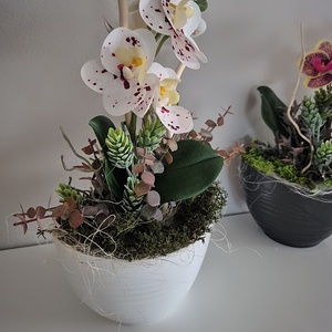 Orchidea kaspóban  - otthon & életmód - dekoráció - asztal és polc dekoráció - asztaldísz - Meska.hu
