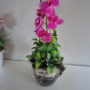 Orchidea kaspóban , Otthon & Életmód, Dekoráció, Asztal és polc dekoráció, Asztaldísz, Virágkötés, MESKA