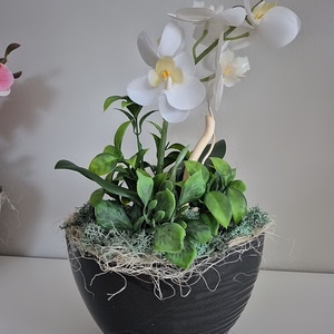 Orchidea kaspóban , Otthon & Életmód, Dekoráció, Asztal és polc dekoráció, Asztaldísz, Virágkötés, MESKA