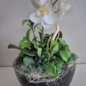 Orchidea kaspóban  - otthon & életmód - dekoráció - asztal és polc dekoráció - asztaldísz - Meska.hu