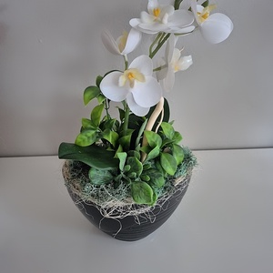 Orchidea kaspóban  - otthon & életmód - dekoráció - asztal és polc dekoráció - asztaldísz - Meska.hu