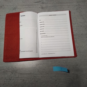 Egészségügyi kiskönyv borító - baba - mama - babaemlékek - egészségügyi kiskönyv borító - Meska.hu