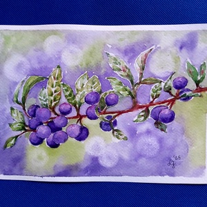 Kökény , Művészet, Festmény, Akvarell, , MESKA