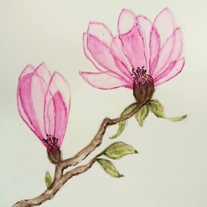 Magnólia akvarell, Művészet, Festmény, Akvarell, Festészet, MESKA