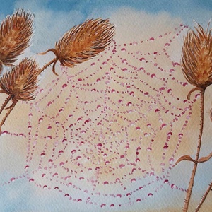 Pókháló   akvarell  - Meska.hu