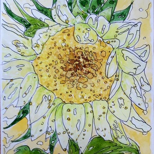 Napraforgó akvarell - Meska.hu