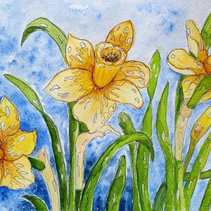 Nárciszok akvarell , Művészet, Festmény, Akvarell, Festészet, MESKA