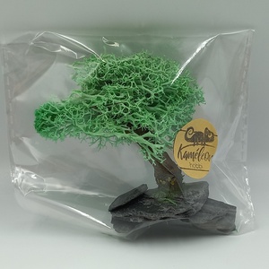 Japánkert kiegészítő - zöld lombú fa II. - otthon & életmód - dekoráció - asztal és polc dekoráció - bonsai - Meska.hu