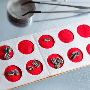 Project Helianthus - Napraforgó génmegőrzési szimuláció - játék & sport - táblajáték és kártyajáték - társasjátékok - Meska.hu