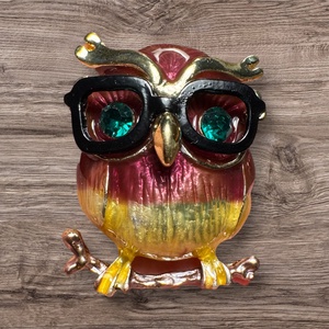 Pápaszemes Bagoly retro BROSS az 1980-as évekből, gyönyörű elegáns strasszos kitűző pin szövetkabátra, blúzra,  blézerre - Meska.hu