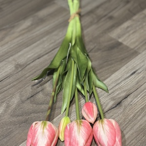 Óriás prémium gumi tulipán  csokor rózsaszín színű - Meska.hu