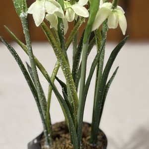 Hóvirág deres ,cserepes  - otthon & életmód - dekoráció - asztal és polc dekoráció - asztaldísz - Meska.hu