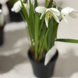 Hóvirág cserepes  - otthon & életmód - dekoráció - asztal és polc dekoráció - asztaldísz - Meska.hu