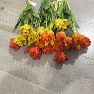 Papagáj tulipán csokor , Otthon & Életmód, Virágdekoráció, Virágdíszek, Asztali virágdísz, , MESKA