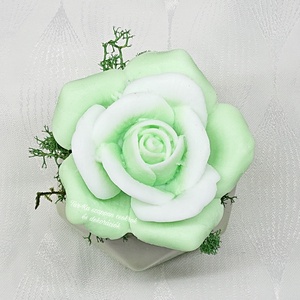 Zöld szappanrózsa színátmenetes kerámia kaspóban  - otthon & életmód - dekoráció - virágdísz és tartó - virágbox, virágdoboz - Meska.hu