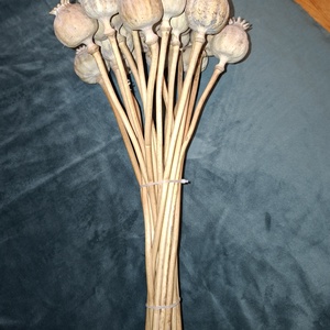 20 darab/ csokor mákfej szárral - Meska.hu