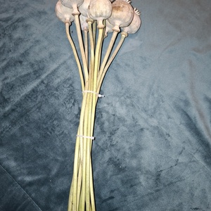 20 darab/ csokor mákfej szárral - diy (csináld magad) - egységcsomag - Meska.hu 20 darab/ csokor mákfej szárral - diy (csináld magad) - egységcsomag - Meska.hu