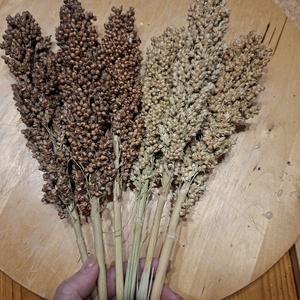 Szárított köles díszítőelem 10 szál egy csomagban , DIY (Csináld magad), Egységcsomag, , MESKA