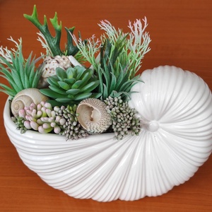 Nautilus - Meska.hu