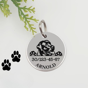 Labrador retriever kutyabiléta saját kutyád nevével, telefonszámmal, Otthon & Életmód, Kisállatoknak, Kutyáknak, Kutya biléta, Gravírozás, pirográfia, MESKA