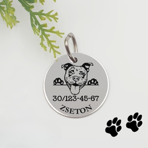 Pitbull kutyabiléta saját kutyád nevével, telefonszámmal, Otthon & Életmód, Kisállatoknak, Kutyáknak, Kutya biléta, Gravírozás, pirográfia, MESKA