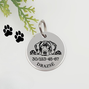 Rövidszőrű német vizsla kutyabiléta saját kutyád nevével, telefonszámmal, Otthon & Életmód, Kisállatoknak, Kutyáknak, Kutya biléta, Gravírozás, pirográfia, MESKA