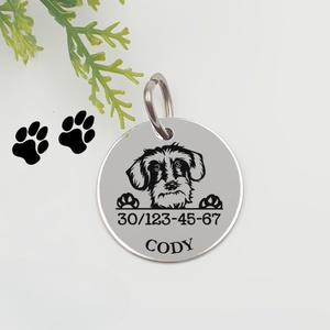 Szálkásszőrű tacskó kutyabiléta saját kutyád nevével, telefonszámmal, Otthon & Életmód, Kisállatoknak, Kutyáknak, Kutya biléta, Gravírozás, pirográfia, MESKA