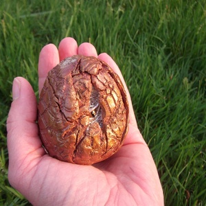 Sárkánytojás - művészet - szobor - kerámia - Meska.hu