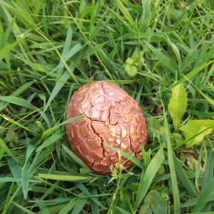 Sárkánytojás - művészet - szobor - kerámia - Meska.hu