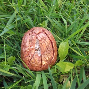 Sárkánytojás - művészet - szobor - kerámia - Meska.hu