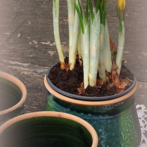 virág kaspók  -  - Meska.hu