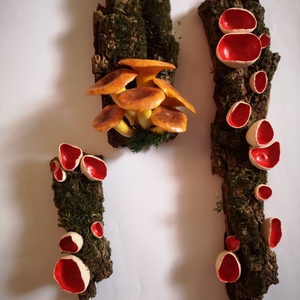 Osztrák csészegomba hűtőmágnes  - otthon & életmód - konyhafelszerelés, tálalás - konyhai dekoráció - hűtőmágnes - Meska.hu