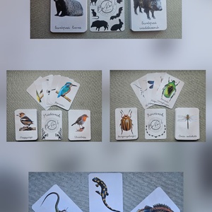 Ismeretterjesztő kártyacsomagok, Játék & Sport, Táblajáték és Kártyajáték, Kártya, Fotó, grafika, rajz, illusztráció, MESKA