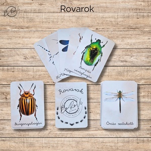 Rovarok kártyacsomag DIGITÁLIS  - Meska.hu